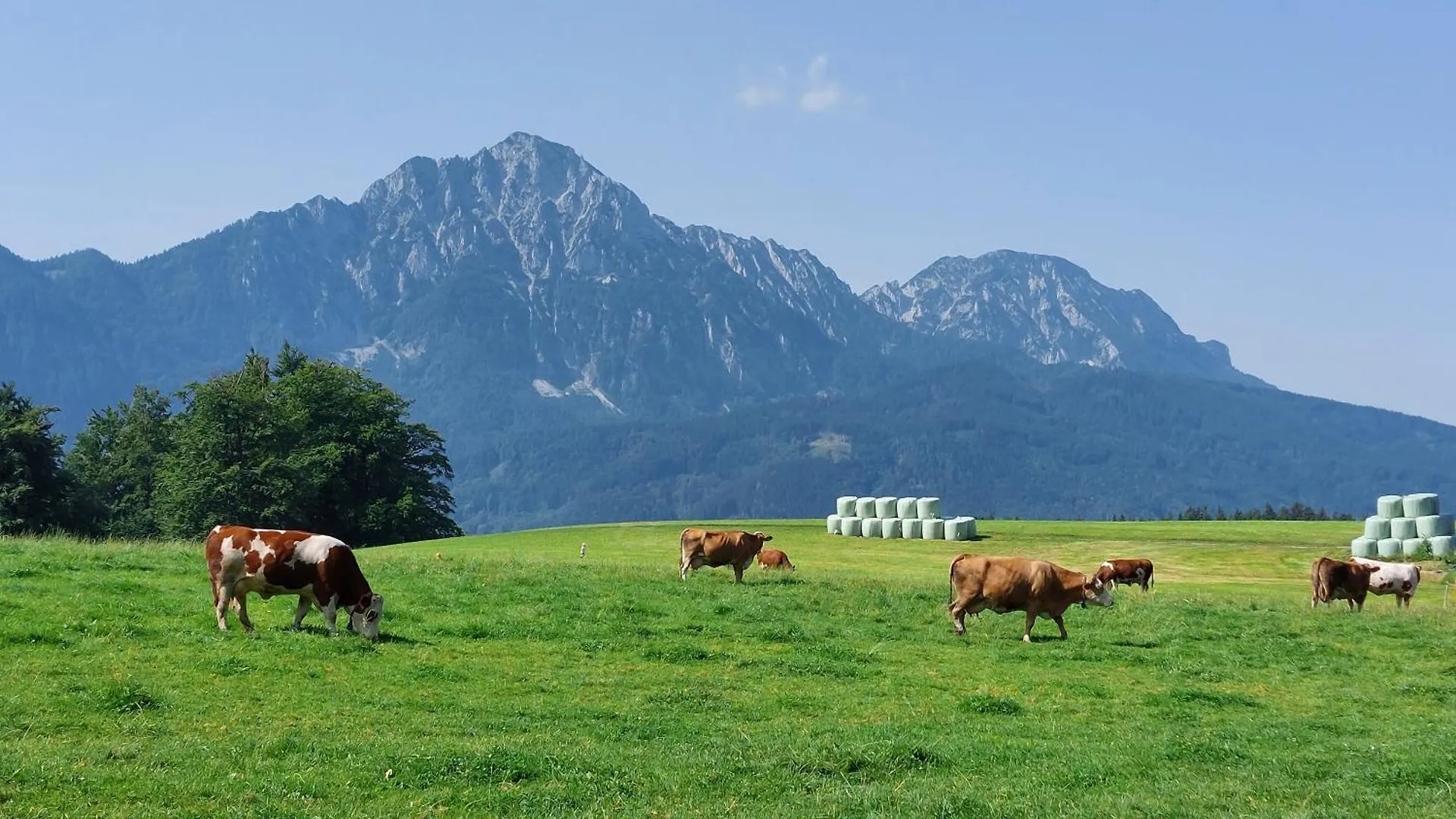 Bauernhof Villa Fuchsbauernhof Piding